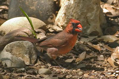 CRW_2254