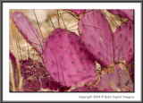 CRW_7871
