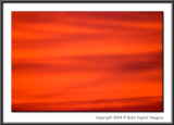 CRW_8176
