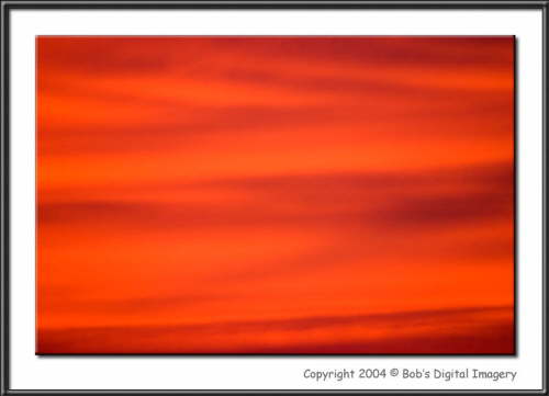 CRW_8176