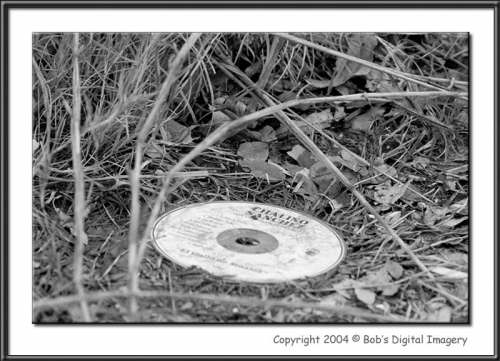 CRW_8206