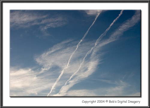 CRW_8437